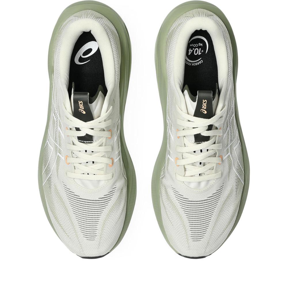 Birch / Khaki Green product image 3