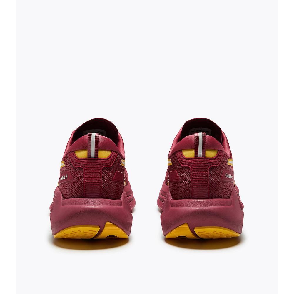 Earth Red / Daffodil product image 5