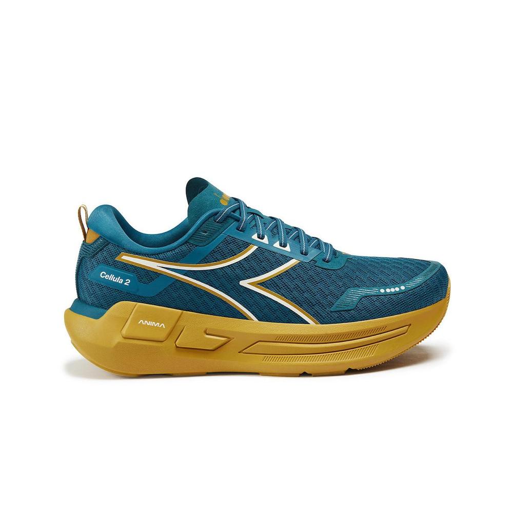 Colonial Blue / Harvest Gold product image 1