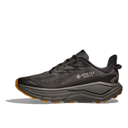 Asphalt Grey / Varsity Yellow product image 2