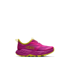 Fuchsia / Fuchsia