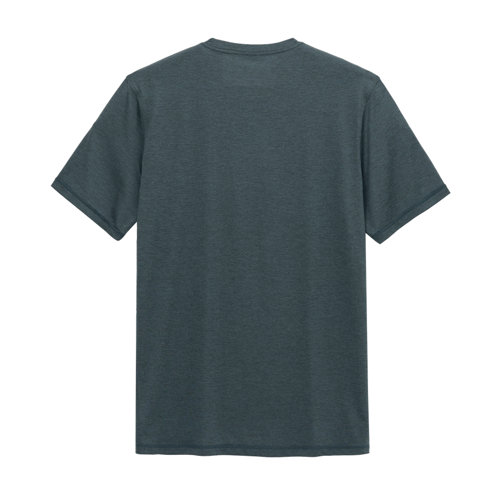 Dark Forest product image 2