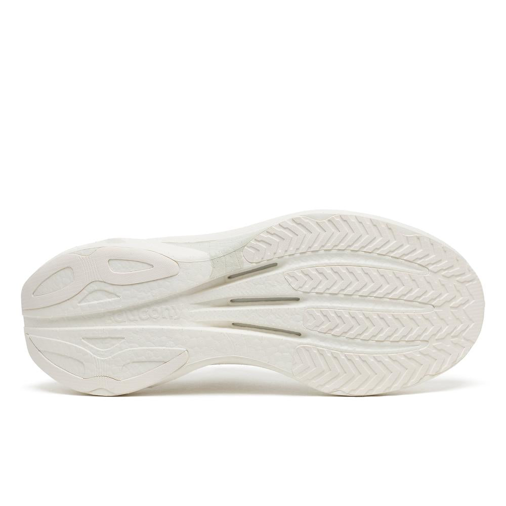 Birch product image 4