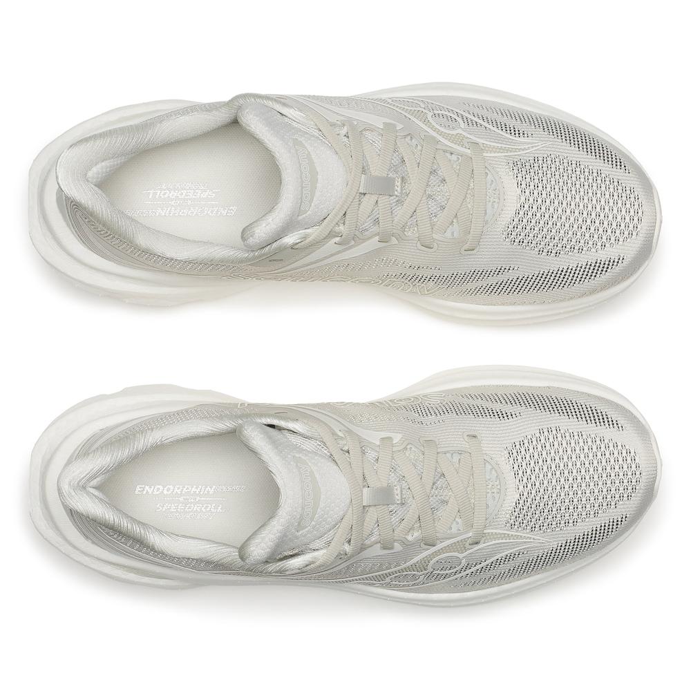 Birch product image 3