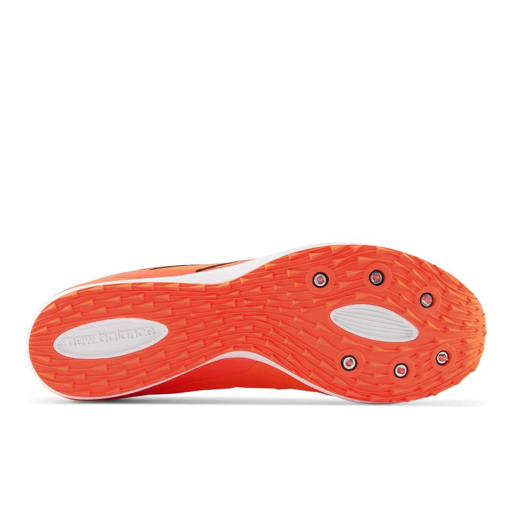 Neon Dragonfly product image 4